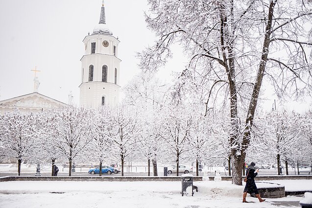 Winter comes to Vilnius – in photos | The Baltic Word