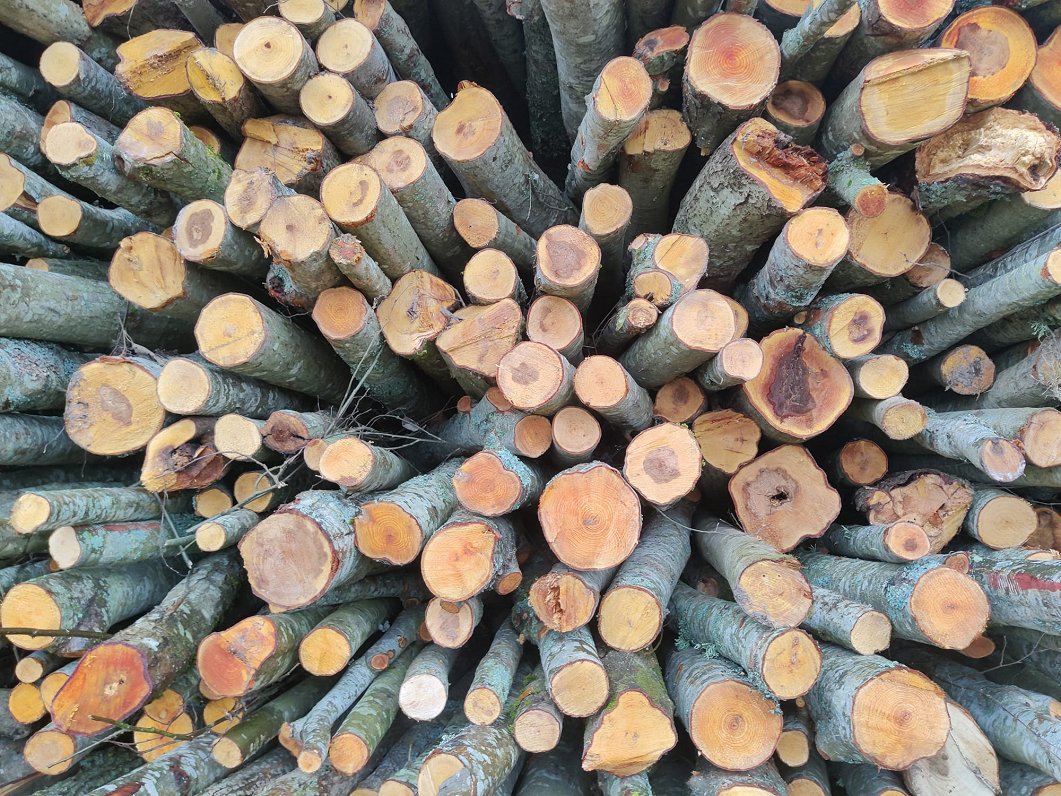 Significant increase in the purchase prices of logs and timber in